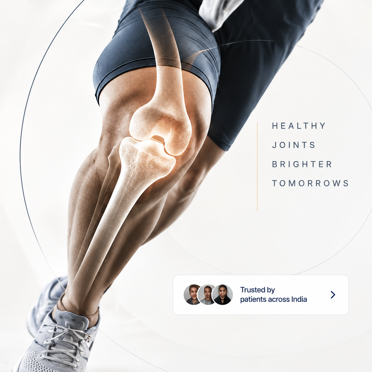 Movement and knee anatomy visual