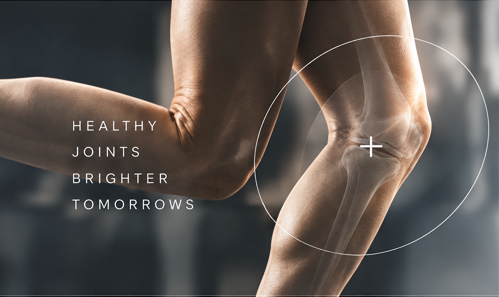 Healthy knee movement with a clinical anatomy overlay